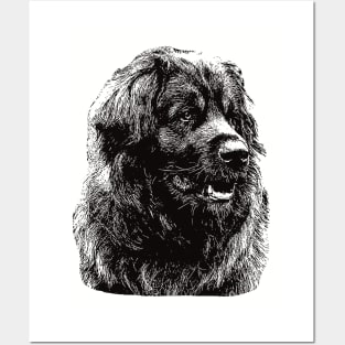 Leonberger gift for Leo Owners Posters and Art